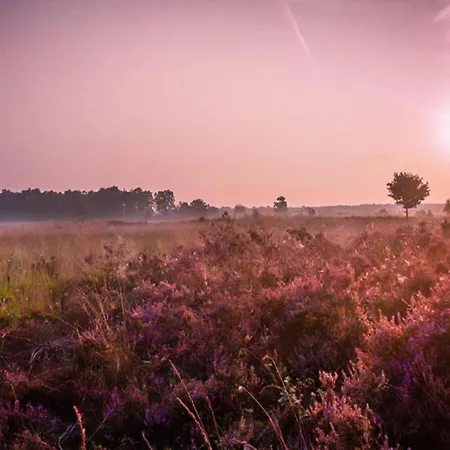 In Veluwe Peaceful Retreat, Cleaning Included Дом отдыха