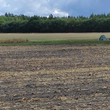 In Veluwe Peaceful Retreat, Cleaning Included * Вортхёйзен