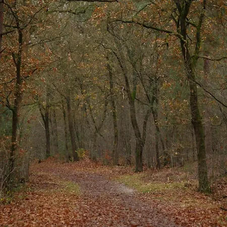 Дом отдыха In Veluwe Peaceful Retreat, Cleaning Included
