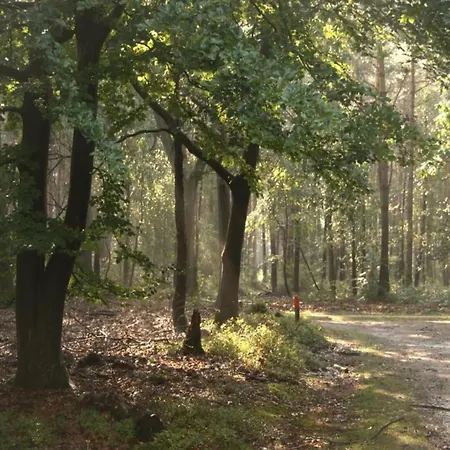 Дом отдыха In Veluwe Peaceful Retreat, Cleaning Included Вортхёйзен