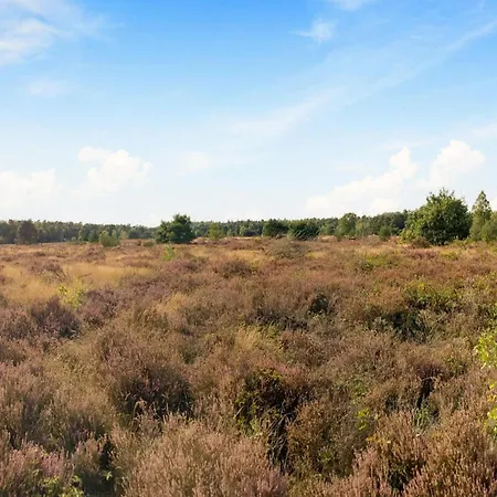 In Veluwe Peaceful Retreat, Cleaning Included *