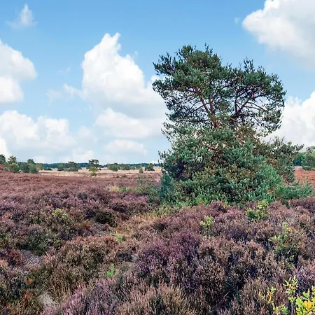 In Veluwe Peaceful Retreat, Cleaning Included Вортхёйзен