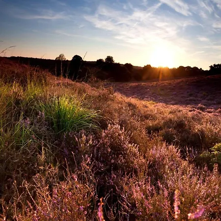 In Veluwe Peaceful Retreat, Cleaning Included * Вортхёйзен